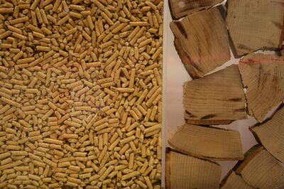 Holzheizung Zuwachs Holz Energie Erneuerbare Heizungstausch Pellet