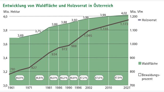 österreichische Waldfläche und Holzvorrat