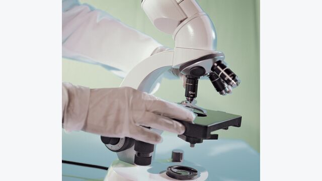 Die entnommenen Wasserproben werden im Labor ausgewertet und es wird geprüft, ob beispielsweise für Legionellen kritische Werte vorliegen.