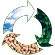 pellet biomass renewable fuel - green renewable sustainable economy