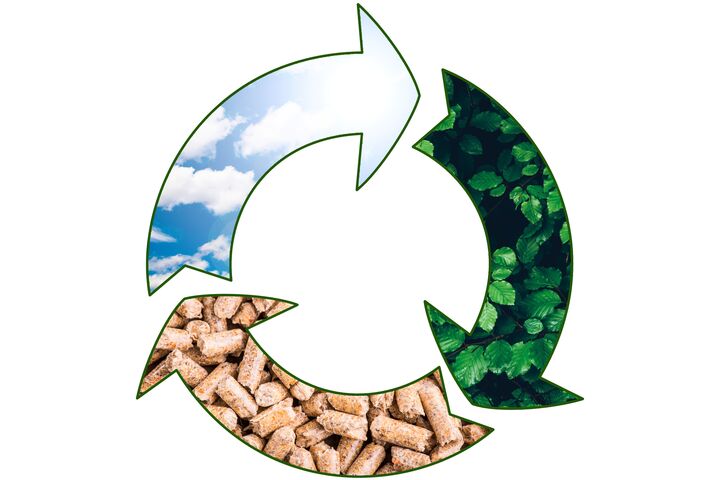 pellet biomass renewable fuel - green renewable sustainable economy