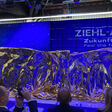 Ziehl-Abegg Produktpräsentation auf der Chillventa 22 HLK/K. Lutz