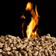 Hot burning wood chip pellets