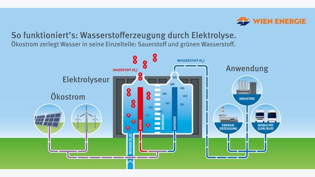 Infografik Funktionsweise Wasserstoff-Erzeugungsanlage - Durch Elektrolyse wird aus Ökostrom grüner Wasserstoff