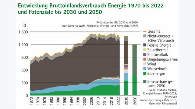Grafik Biomasseverband Basisdaten 2023