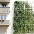 Fassadenbegrünung in der Jägerstraße in Wien