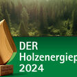 Ausschnitt des Covers der neuen Broschüre des ÖBMV mit den Holzenergiepreis-Trägern 2024