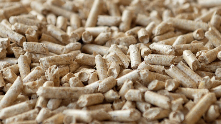 Holzbrennstoff Pellets, aus der Nähe betrachtet