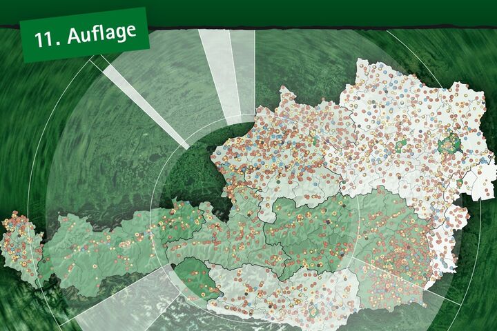 Ausschnitt des Covers der Broschüre Basisdaten Bioenergie Österreich 2025
