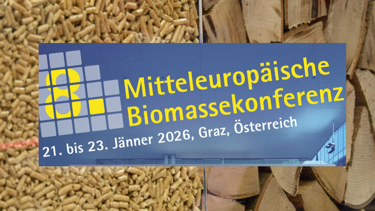 Biomasse in Pellets- und Holzscheit-Form, Hinweis auf die Mitteleuropäische Biomasse-Konferenz