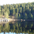 Wald bzw. Biomasse in Form von Holz, das sich im Wasser spiegelt