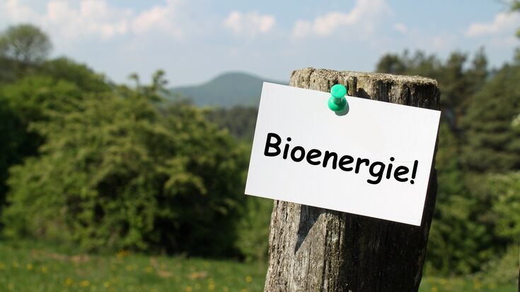 © AdobeStock bioenergie landschaft natrur wiese wald biomasse regenerativ regenerative energie sonne natur wblumen himmel blau foto wälder land ländlich solarenergie solar solarzellen sonne sonnenenergie umweltfreundlich vector strom atomstrom energie energien regenerative regenerative energien erneuerbare energien nchwachsende nachwachsend nachwachsende rohstoffe rohstoff rohstoffe atomkraft atomenergie alternativ alternativen alternative umwelt umweltschutz umweltschonend stromverzeugung strahlen verstrahlt kernkraft kernenergie atomkraftwerk kernkraftwerk